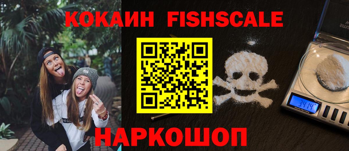 COCAIN Fish Scale  Вход с VPN  купить  цена  Балтийск 