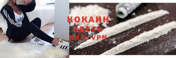 тгк Аркадак
