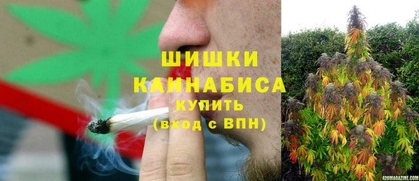 хмурый Корсаков