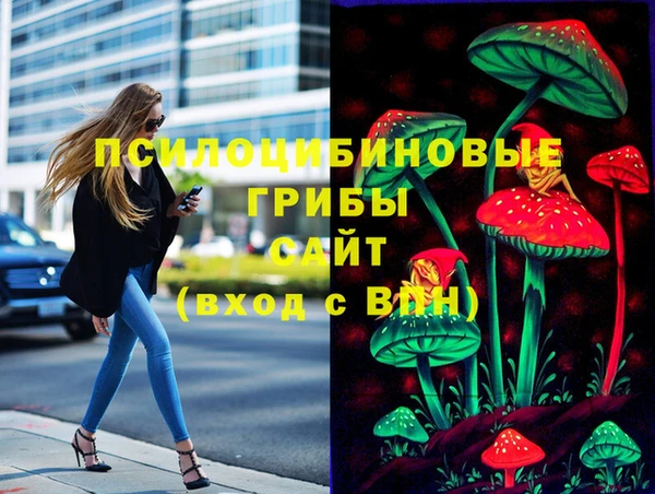 тгк Аркадак