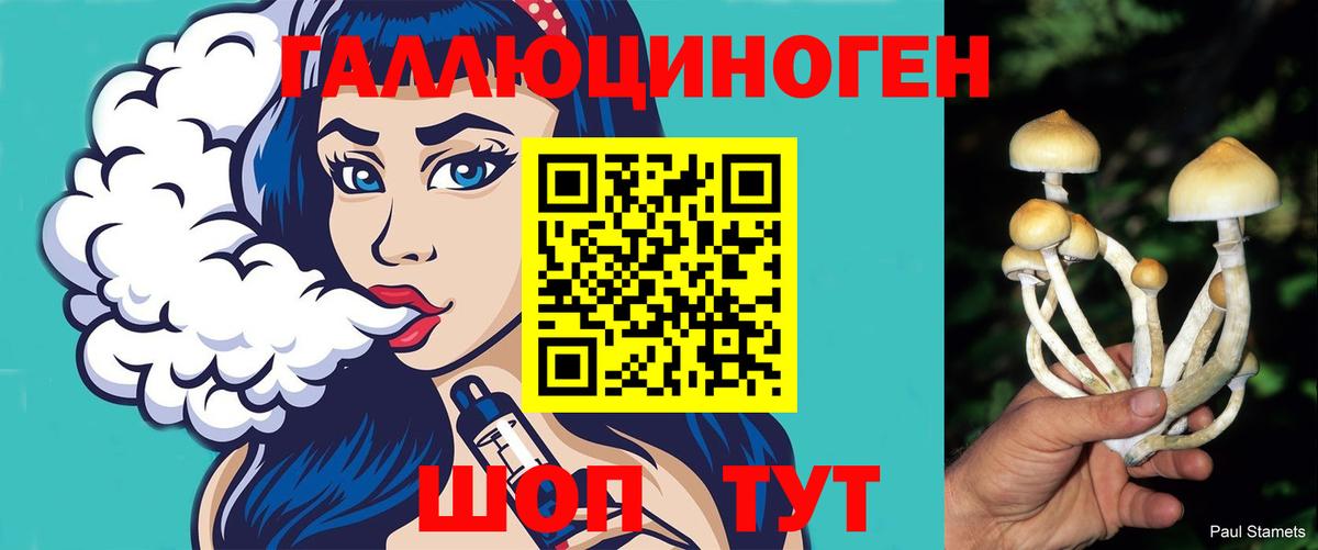 Балтийск  Галлюциногенные грибы Magic Shrooms  Вход с VPN 